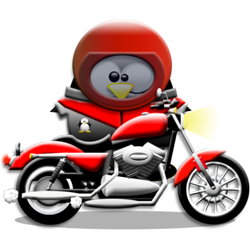 penguin pingouin pinguino 146